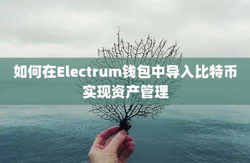 如何在Electrum钱包中导入比特币实现资产管理