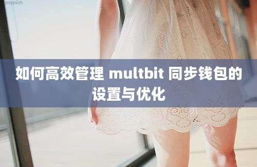 如何高效管理 multbit 同步钱包的设置与优化