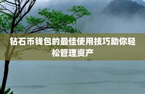 钻石币钱包的最佳使用技巧助你轻松管理资产