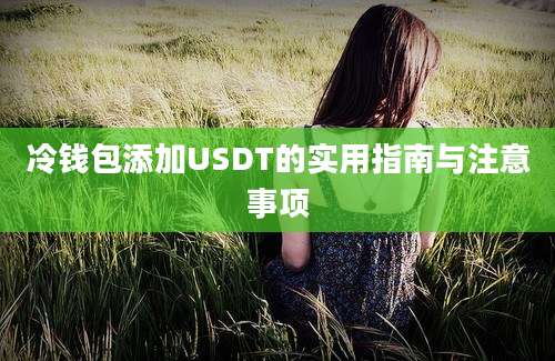 冷钱包添加USDT的实用指南与注意事项