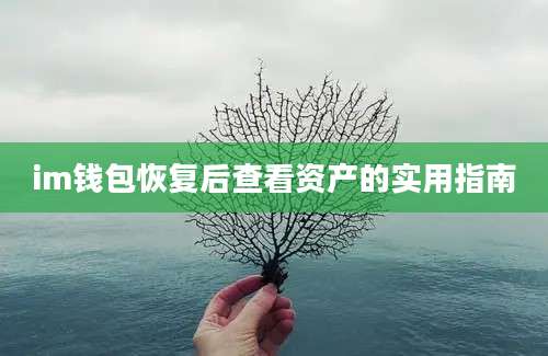 im钱包恢复后查看资产的实用指南