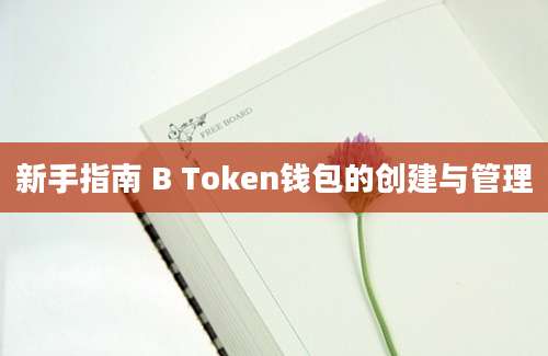 新手指南 B Token钱包的创建与管理