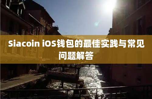 Siacoin iOS钱包的最佳实践与常见问题解答