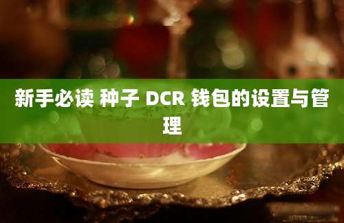 新手必读 种子 DCR 钱包的设置与管理