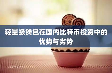 轻量级钱包在国内比特币投资中的优势与劣势