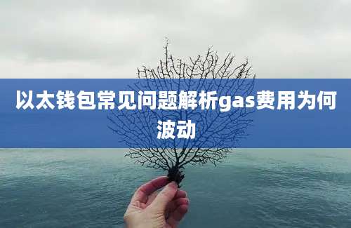 以太钱包常见问题解析gas费用为何波动