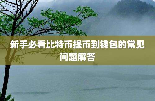 新手必看比特币提币到钱包的常见问题解答