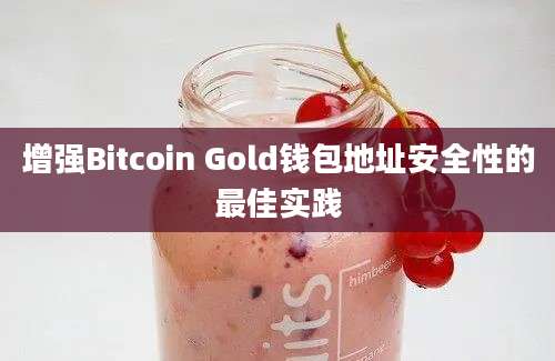 增强Bitcoin Gold钱包地址安全性的最佳实践