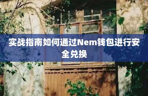 实战指南如何通过Nem钱包进行安全兑换