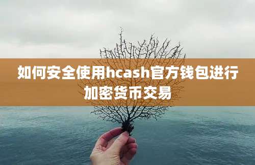 如何安全使用hcash官方钱包进行加密货币交易