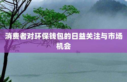 消费者对环保钱包的日益关注与市场机会