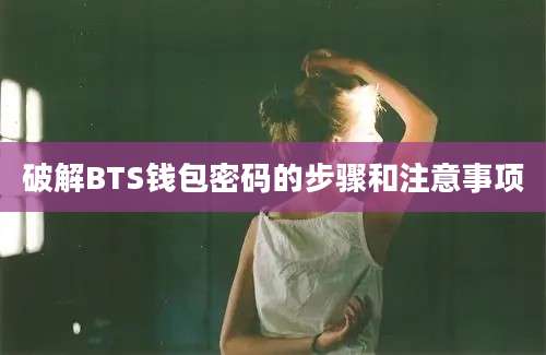 破解BTS钱包密码的步骤和注意事项