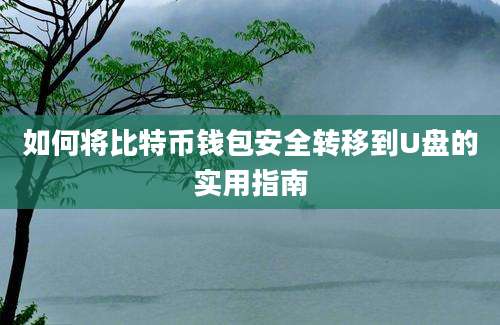 如何将比特币钱包安全转移到U盘的实用指南