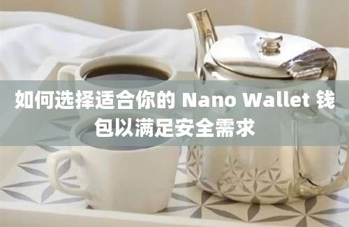 如何选择适合你的 Nano Wallet 钱包以满足安全需求