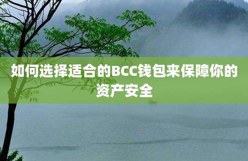 如何选择适合的BCC钱包来保障你的资产安全