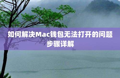 如何解决Mac钱包无法打开的问题步骤详解