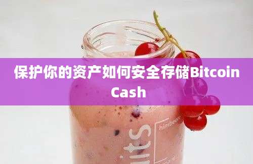 保护你的资产如何安全存储Bitcoin Cash