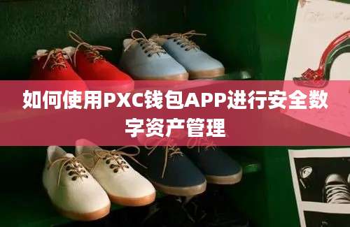 如何使用PXC钱包APP进行安全数字资产管理