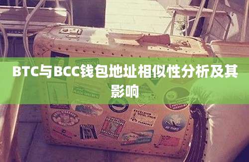 BTC与BCC钱包地址相似性分析及其影响