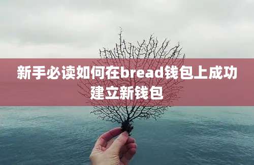 新手必读如何在bread钱包上成功建立新钱包