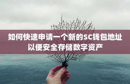 如何快速申请一个新的SC钱包地址以便安全存储数字资产