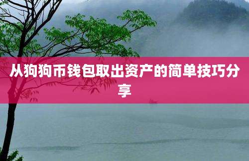 从狗狗币钱包取出资产的简单技巧分享