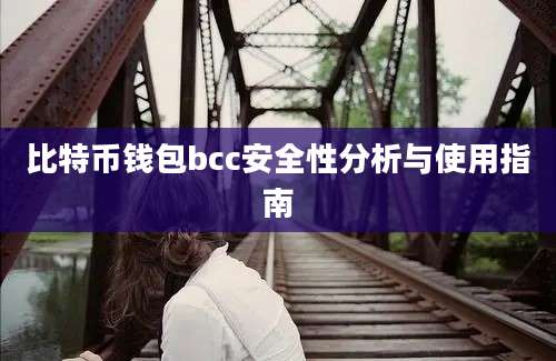 比特币钱包bcc安全性分析与使用指南