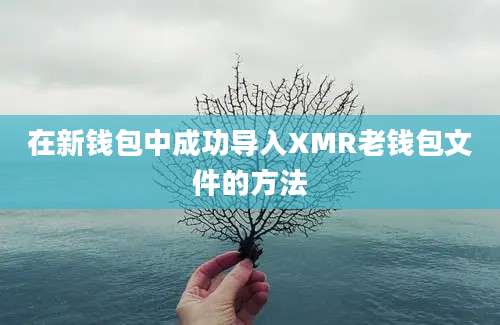 在新钱包中成功导入XMR老钱包文件的方法