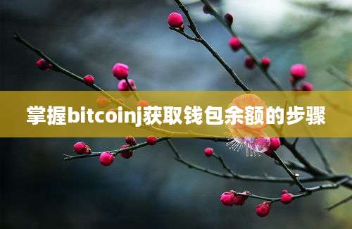 掌握bitcoinj获取钱包余额的步骤