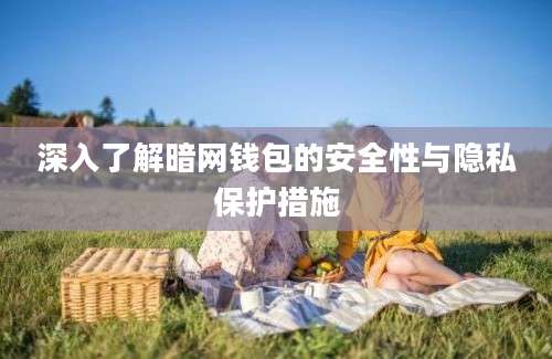 深入了解暗网钱包的安全性与隐私保护措施