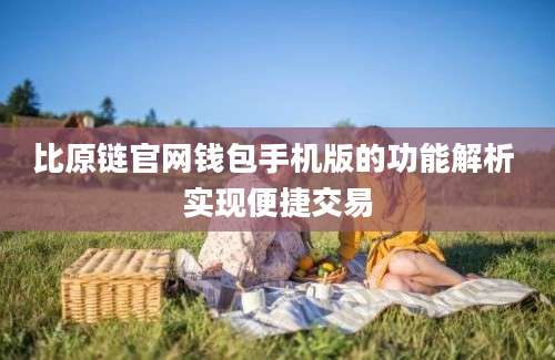 比原链官网钱包手机版的功能解析 实现便捷交易