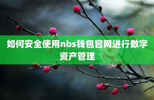 如何安全使用nbs钱包官网进行数字资产管理