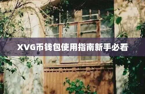 XVG币钱包使用指南新手必看