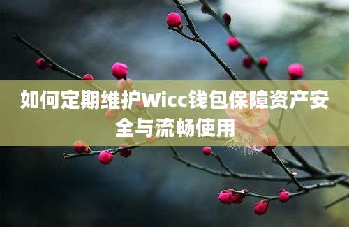 如何定期维护Wicc钱包保障资产安全与流畅使用