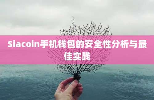 Siacoin手机钱包的安全性分析与最佳实践