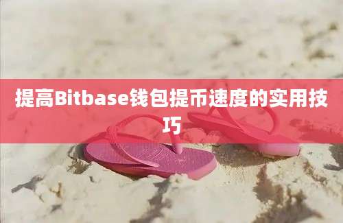 提高Bitbase钱包提币速度的实用技巧