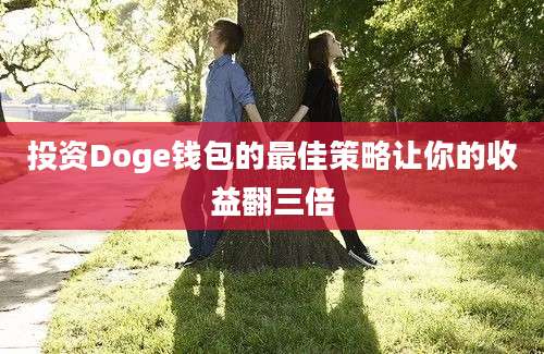 投资Doge钱包的最佳策略让你的收益翻三倍