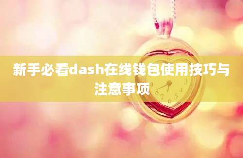 新手必看dash在线钱包使用技巧与注意事项