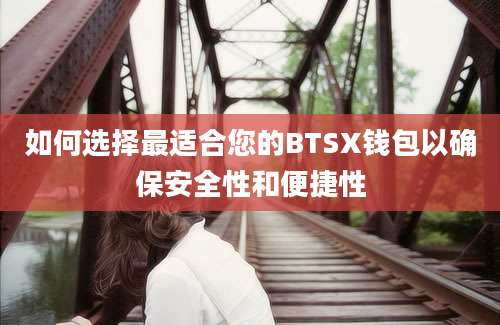 如何选择最适合您的BTSX钱包以确保安全性和便捷性