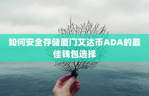 如何安全存储厦门艾达币ADA的最佳钱包选择