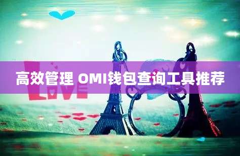 高效管理 OMI钱包查询工具推荐