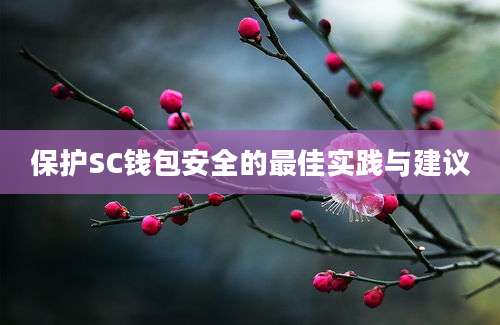 保护SC钱包安全的最佳实践与建议