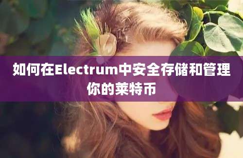 如何在Electrum中安全存储和管理你的莱特币