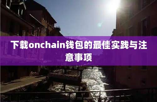 下载onchain钱包的最佳实践与注意事项