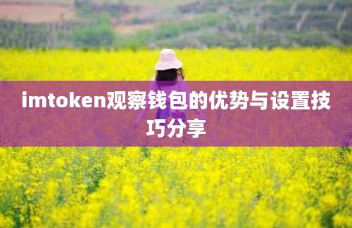 imtoken观察钱包的优势与设置技巧分享