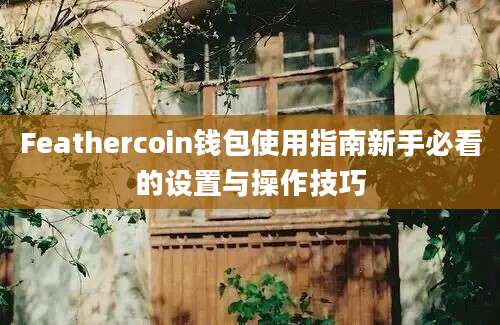 Feathercoin钱包使用指南新手必看的设置与操作技巧