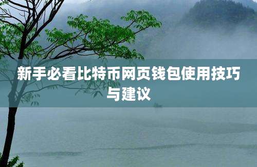 新手必看比特币网页钱包使用技巧与建议