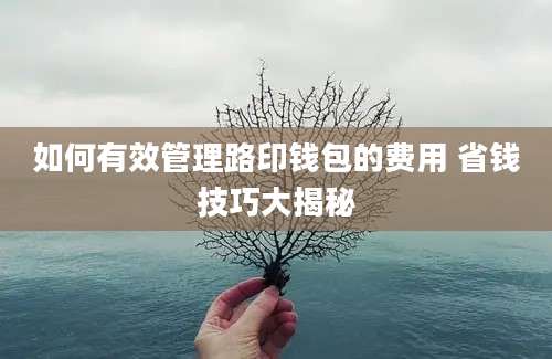 如何有效管理路印钱包的费用 省钱技巧大揭秘