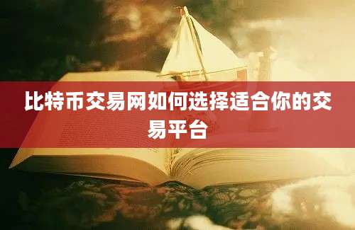 比特币交易网如何选择适合你的交易平台