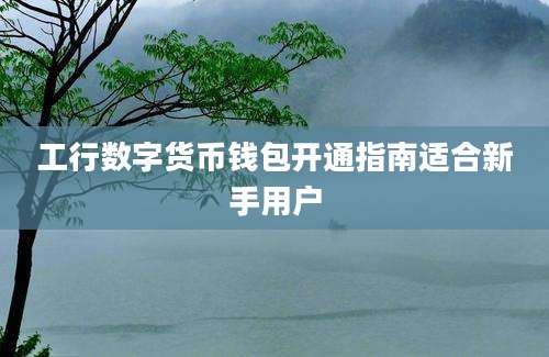 工行数字货币钱包开通指南适合新手用户